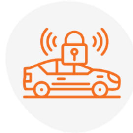 Imobilização Remota